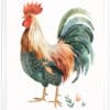 Rooster WB0930 7 Картина за детска стая с петленце