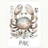 Картина за детска стая със зодия Рак 4