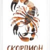 Картина за детска стая със зодия Скорпион 3