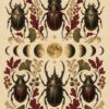 Картина бръмбари и лунни фази: шест тъмни бръмбари със златни отблясъци около редица от луни и листа