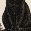 Детайл отблизо: Картина черна котка върху книги: котка с кехлибарени очи на три стари книги до свещ и пясъчен часовник Детайл отблизо: Картина черна котка върху книги: котка с кехлибарени очи на три стари книги до свещ и пясъчен часовник