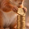 Детайл: лапите на катерицата върху купчина златни монети