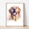Картина лабрадор в светла дървена рамка, облегната на бяла стена