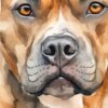Детайл: муцуна на стафордширски бултериер със сив нос и кехлибарени очи отблизо