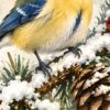 Детайл: жълтият корем и краката на синигера върху заснежената клонка до голямата шишарка