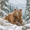 Кафява мечка лежи в снега с лапи напред в заснежена гора, в стил акварел